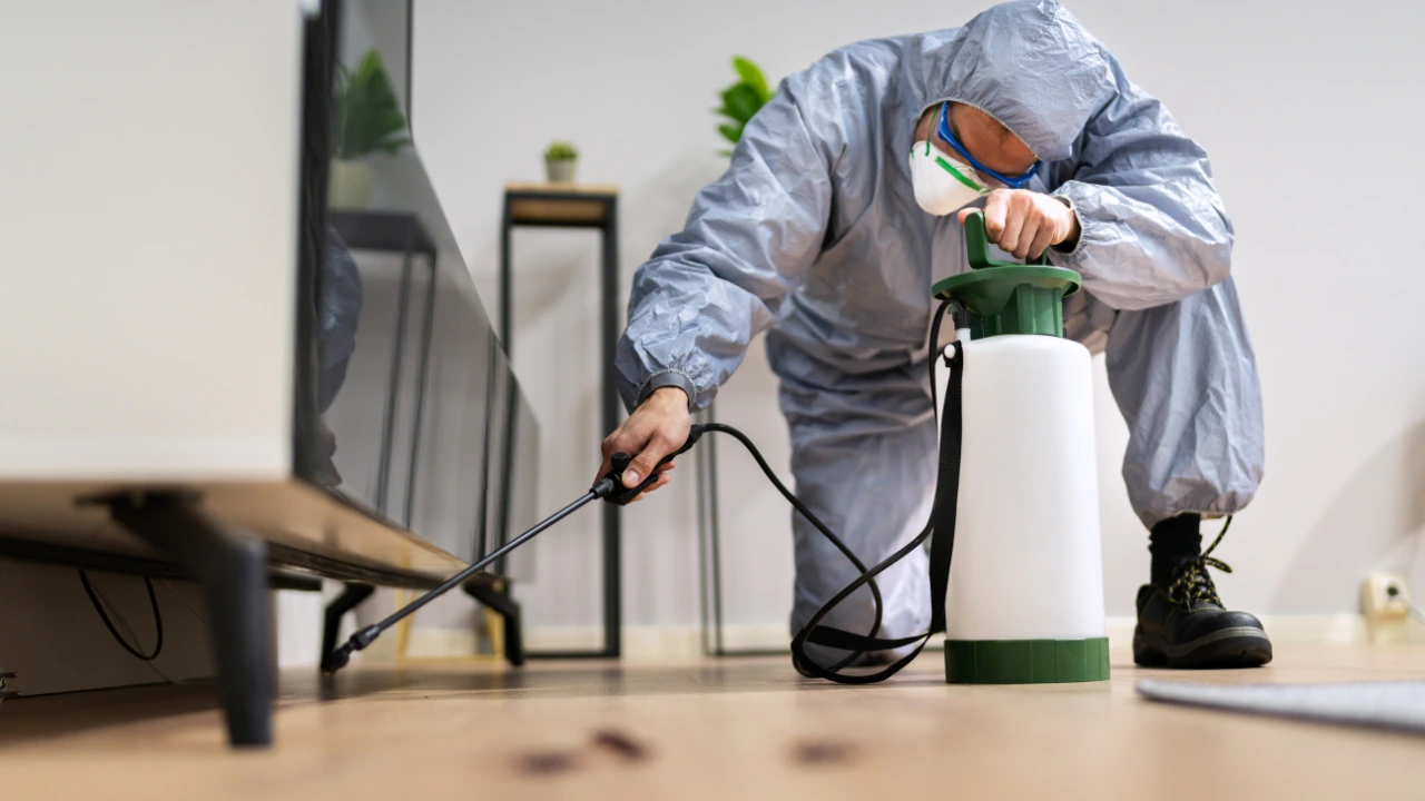 Quarterly pest plans for Houston homes — year-round coverage