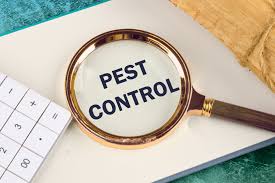 Bed bug treatment for Houston homes — heat and chemical options