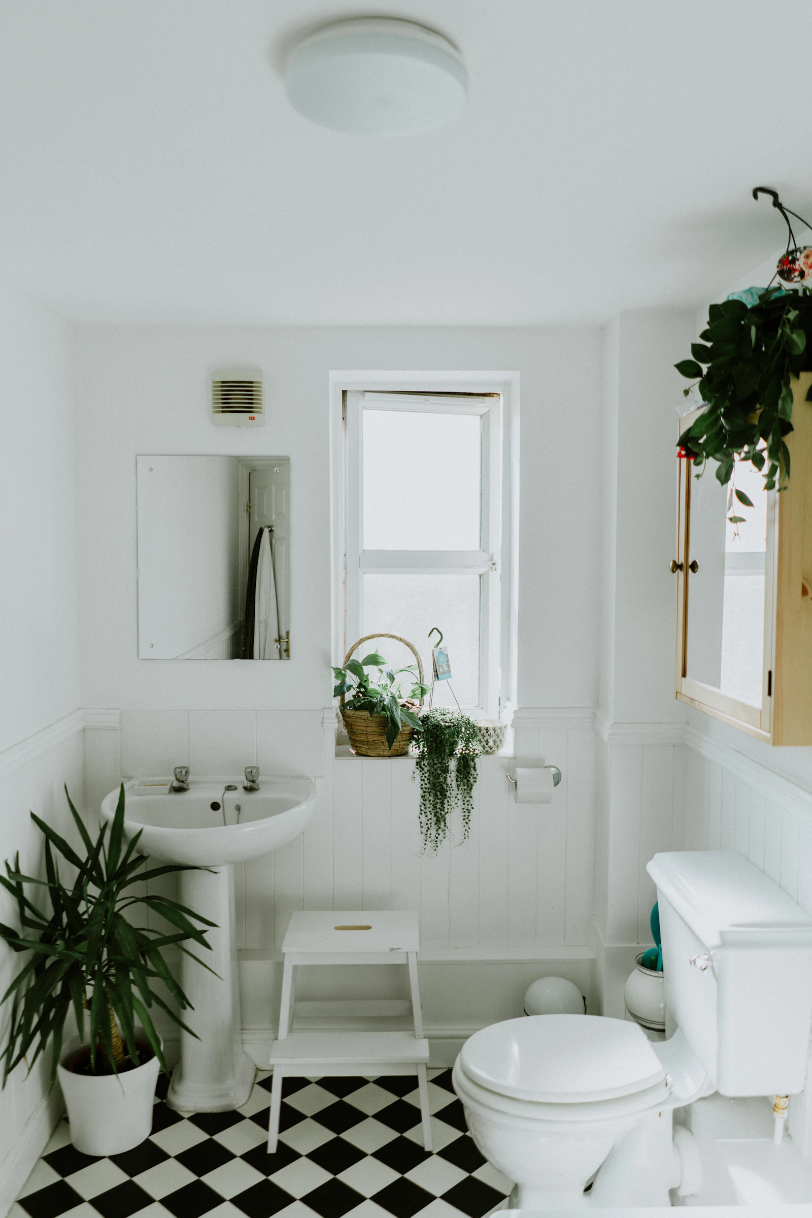 Bathroom remodel in Asheville — primary suite to powder room, aging-in-place capable